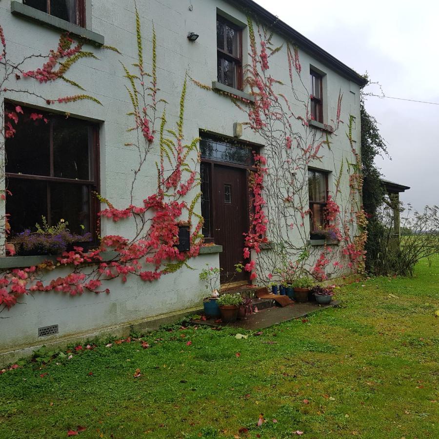 Oldfarm Villa Nenagh ภายนอก รูปภาพ